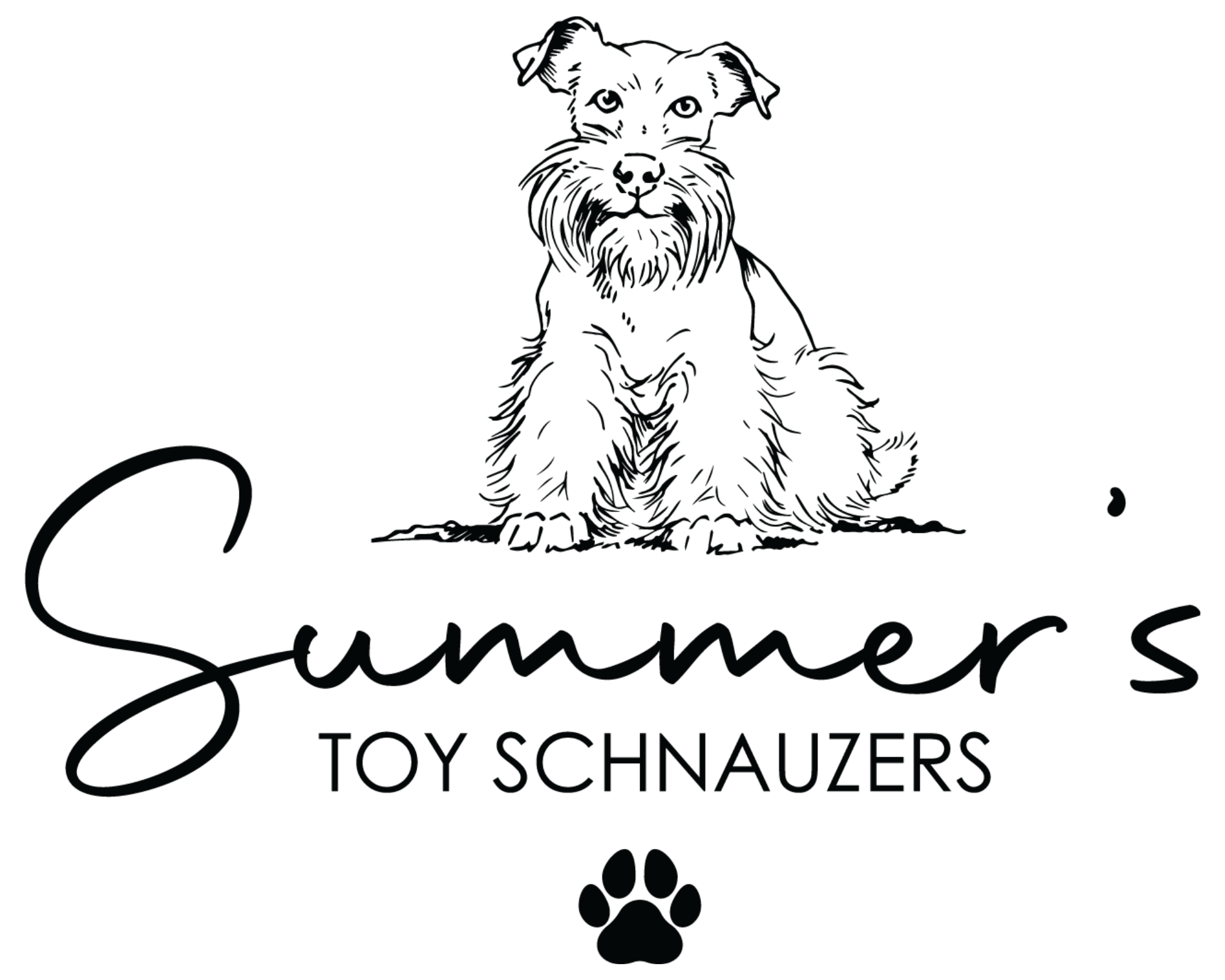 Summer's Toy Schnauzers
